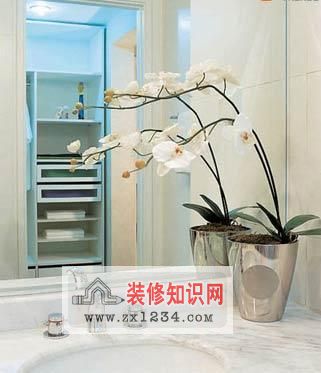 鲜花在家居<a href=http://www.zhuangxiuzhishi.com/fengshui/ target=_blank class=infotextkey>风水</a>中的作用 